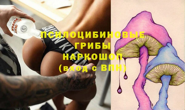 ГАЛЛЮЦИНОГЕННЫЕ ГРИБЫ Покачи