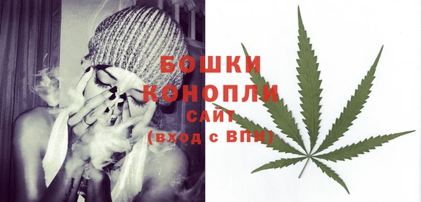гидра Губаха