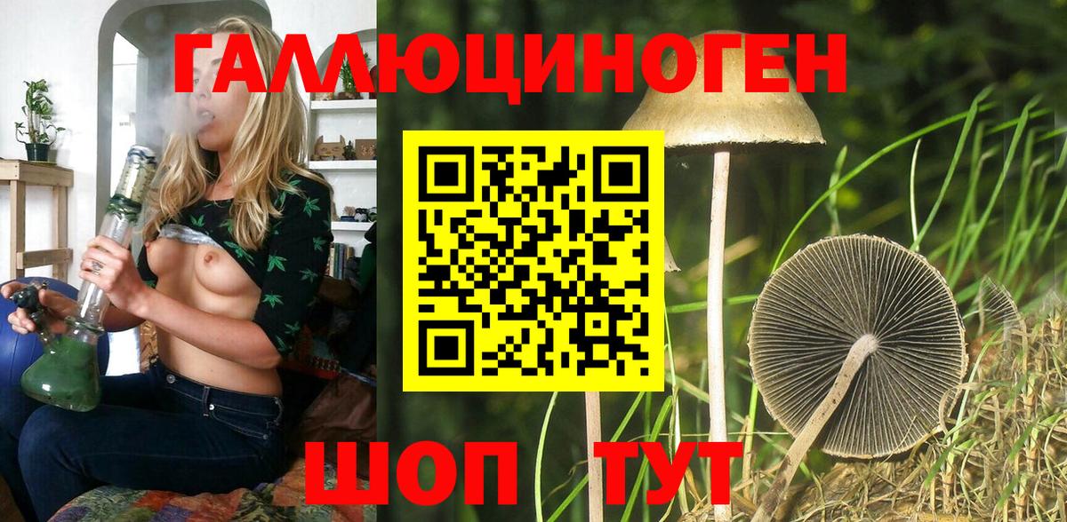 купить наркотики сайты  Вход с VPN  Псилоцибиновые грибы Cubensis  Усть-Кут  Псилоцибиновые грибы Magic Shrooms 