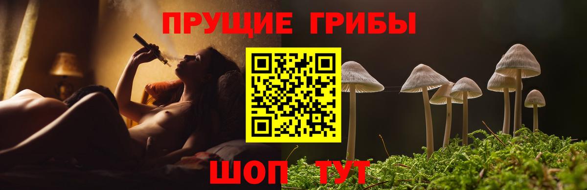 Галлюциногенные грибы Cubensis Усть-Кут